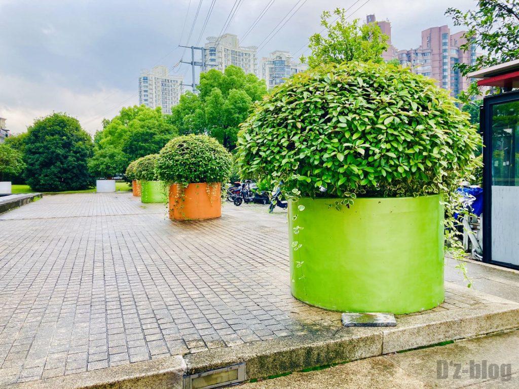 上海黄金城道街の植木