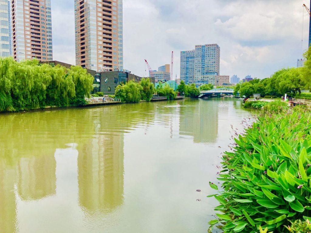 上海科技館付近の川2