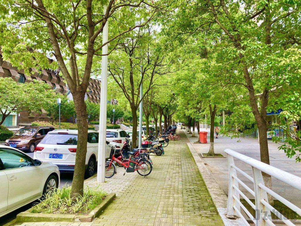 上海锦康路の並木道
