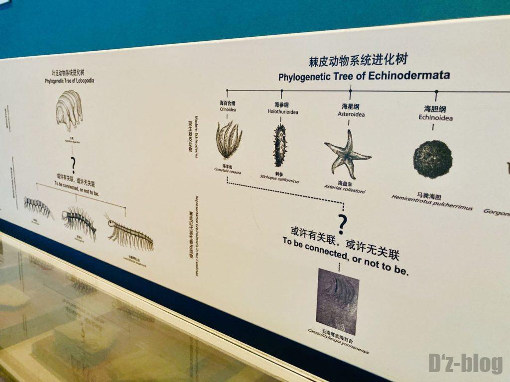 上海自然博物館登陸海内進化