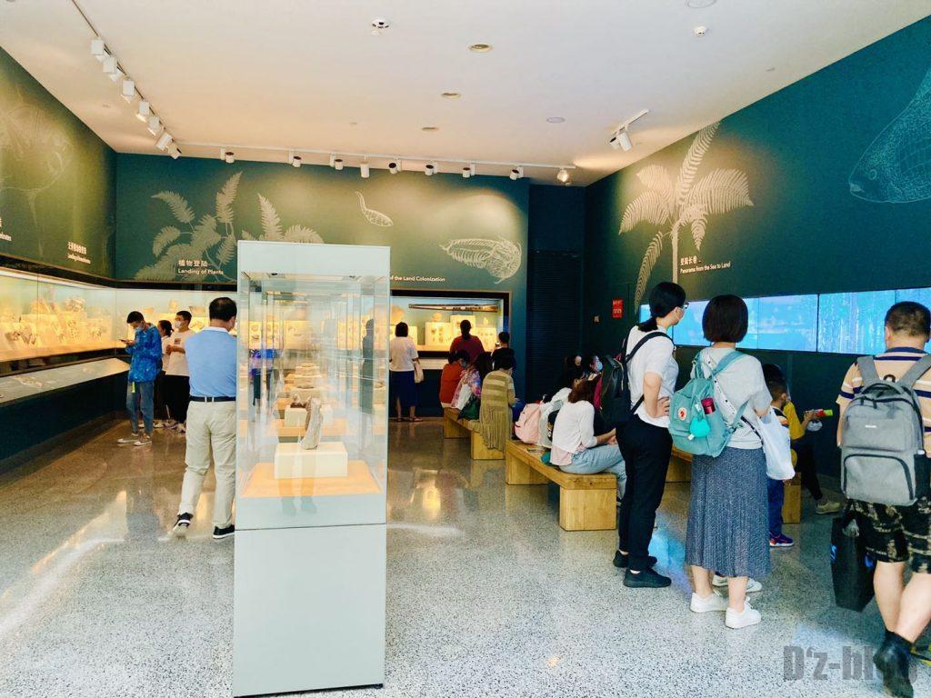 上海自然博物館登陸海内化石