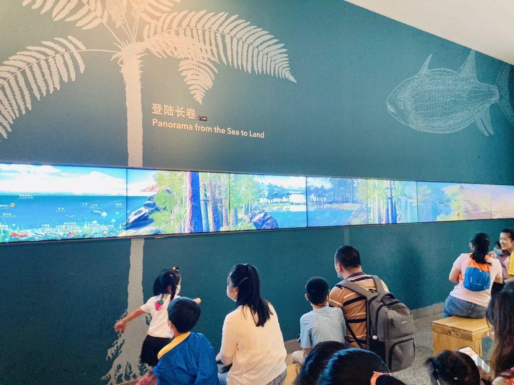 上海自然博物館登陸物語映像