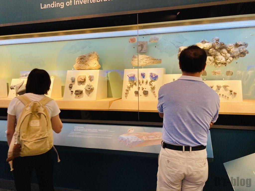 上海自然博物館海内生物観覧客