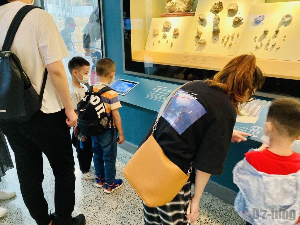 上海自然博物館海内生物化石子供観覧