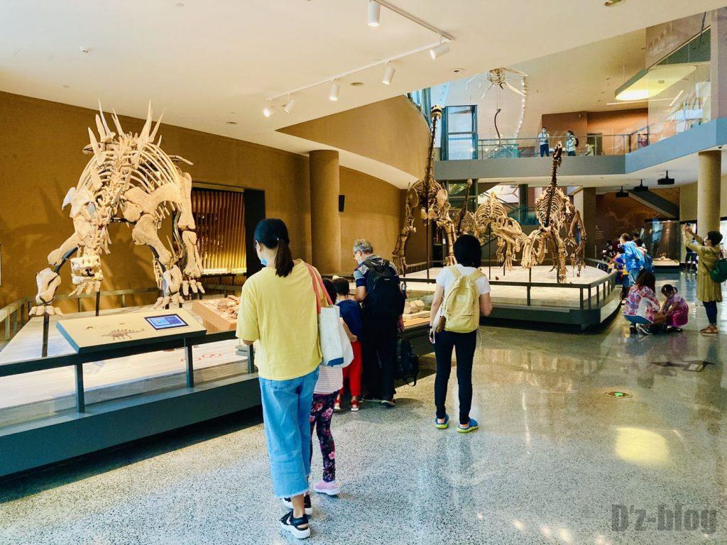 上海自然博物館恐竜全身化石観覧客