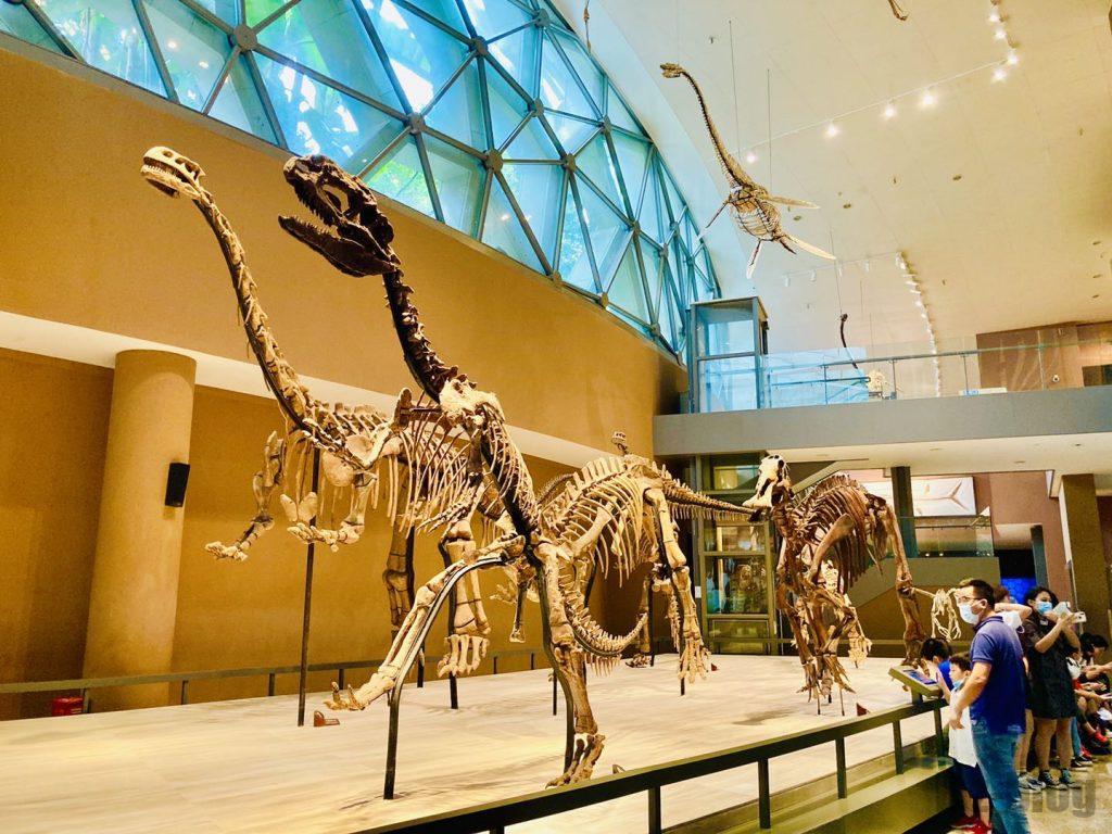 上海自然博物館恐竜全身化石歩行再現