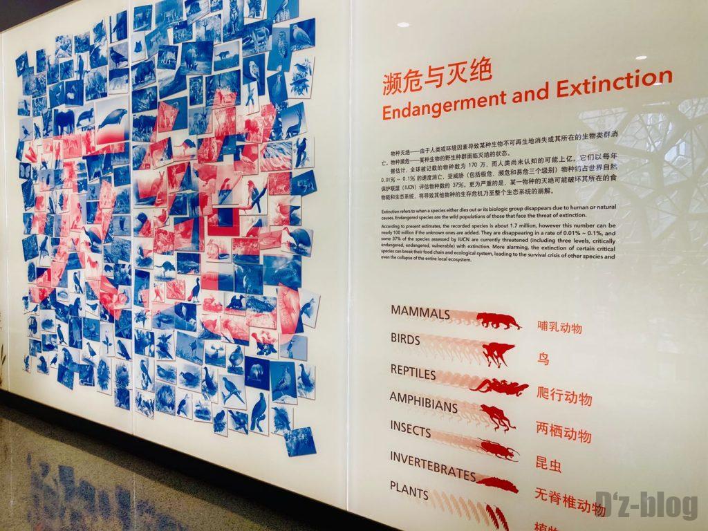上海自然博物館絶滅危機種