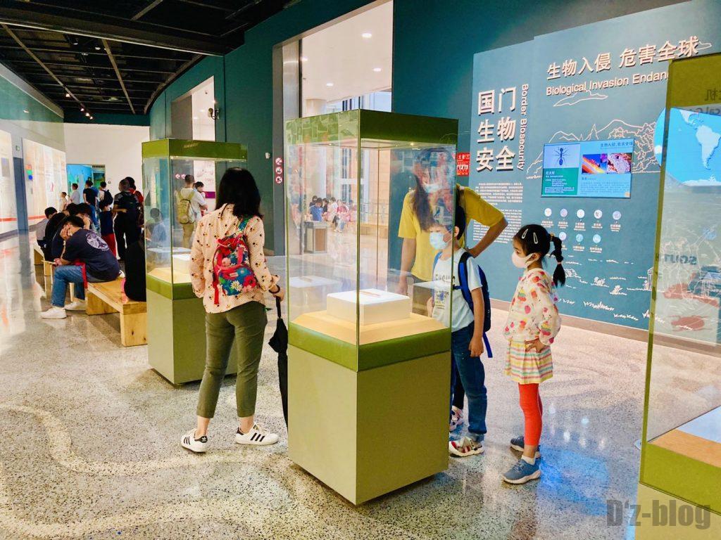 上海自然博物館未来の道展示物3