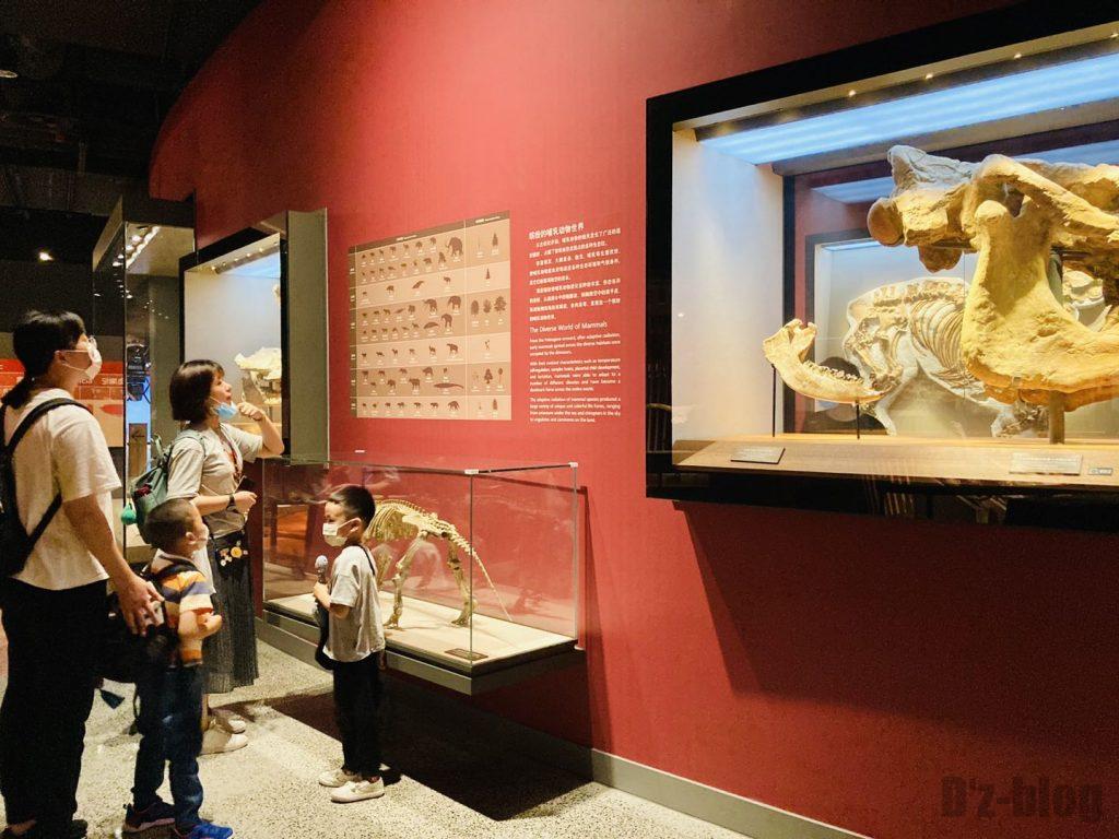 上海自然博物館生物の進化表観覧親子
