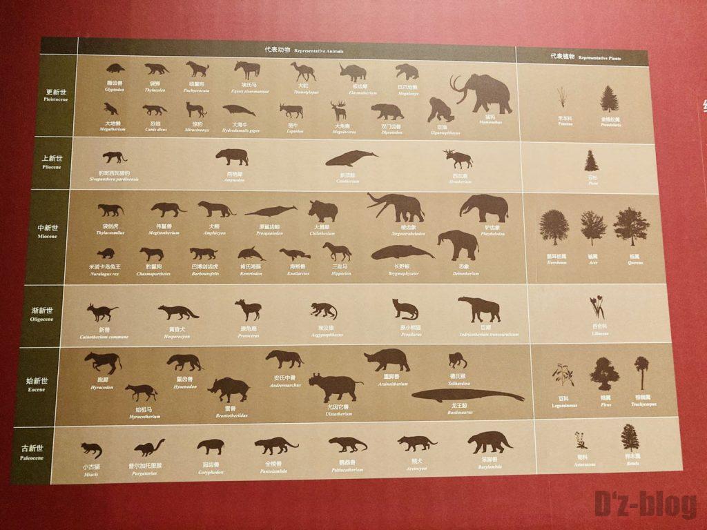上海自然博物館生物の進化表