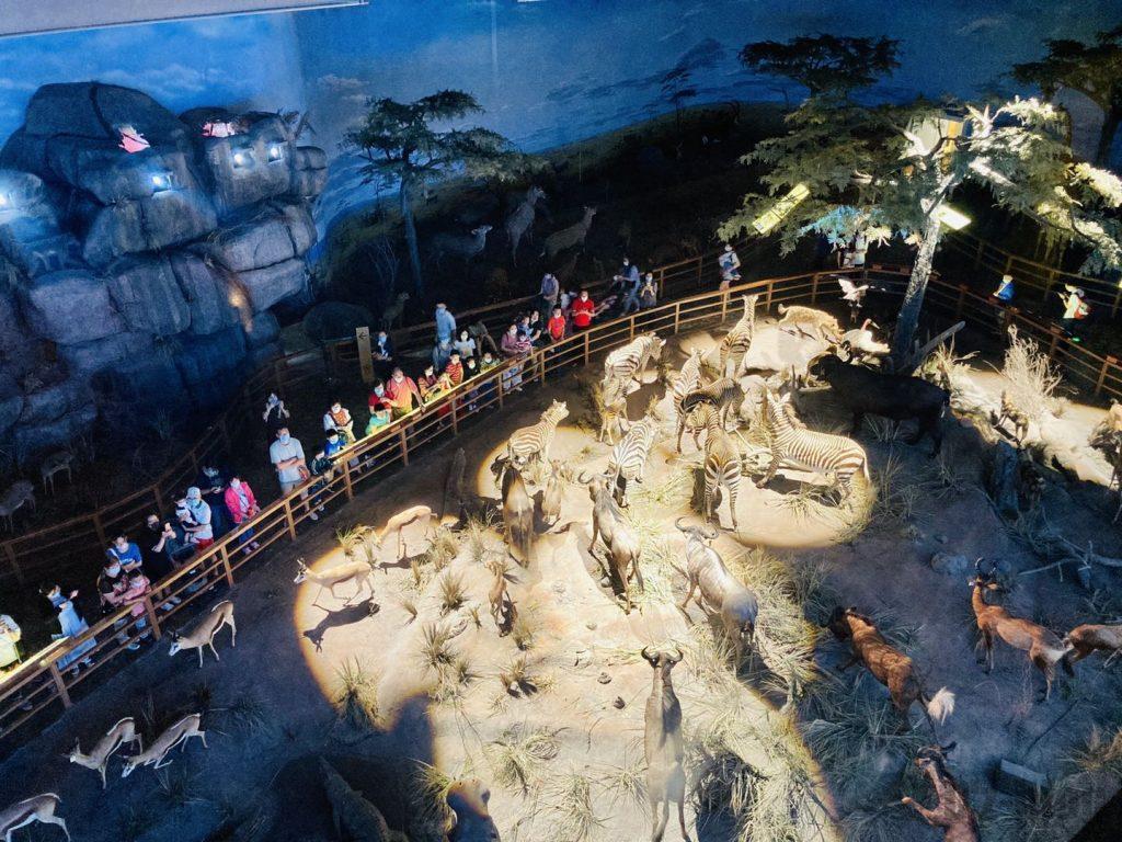 上海自然博物館野生動物生態見本