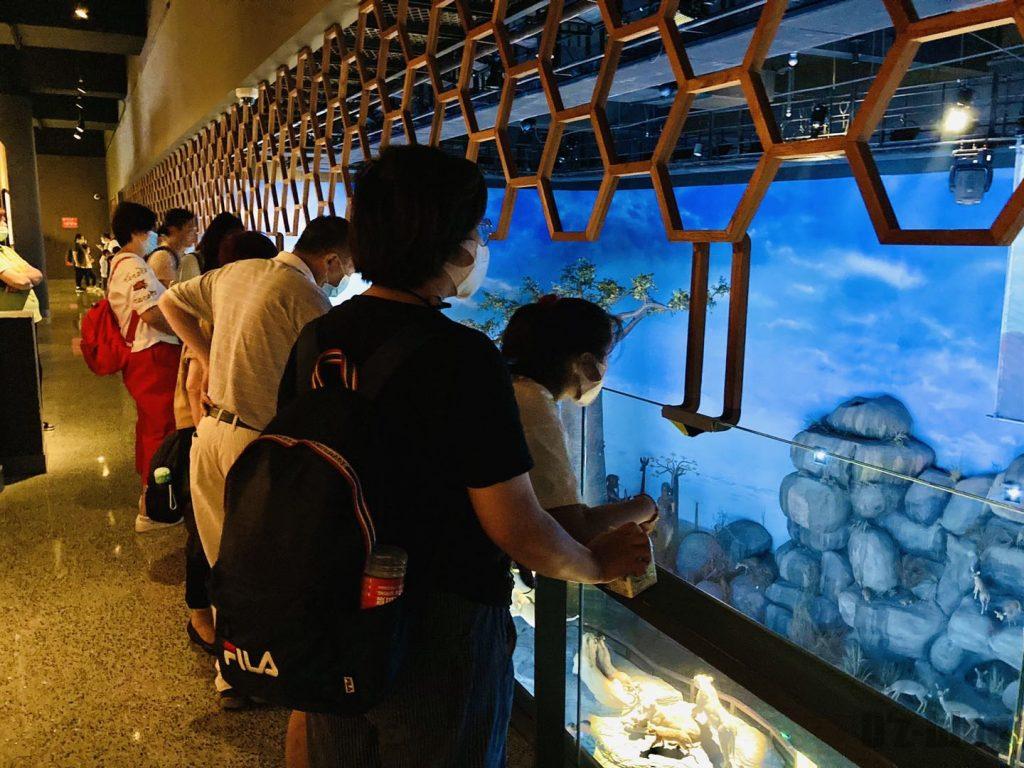 上海自然博物館野生動物生態モデル観覧客