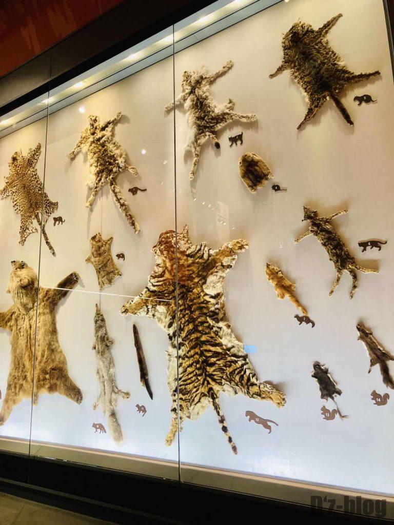 上海自然博物館野生動物毛皮
