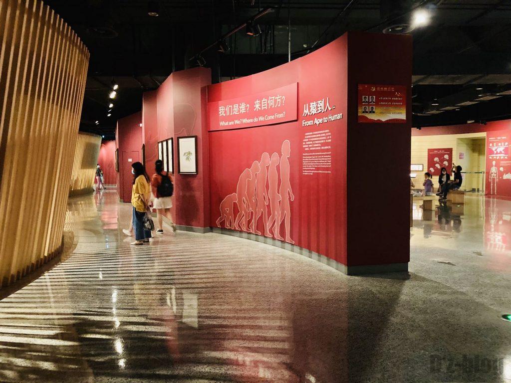 上海自然博物館人類の始まり
