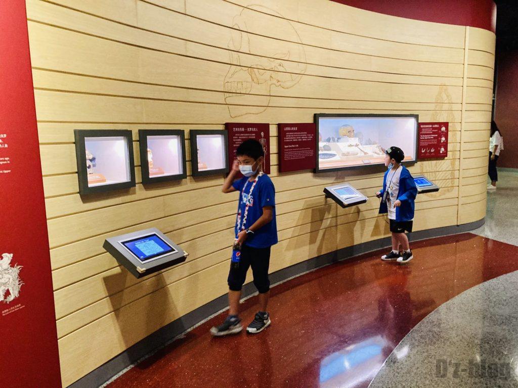 上海自然博物館人骨頭部を観覧する子供