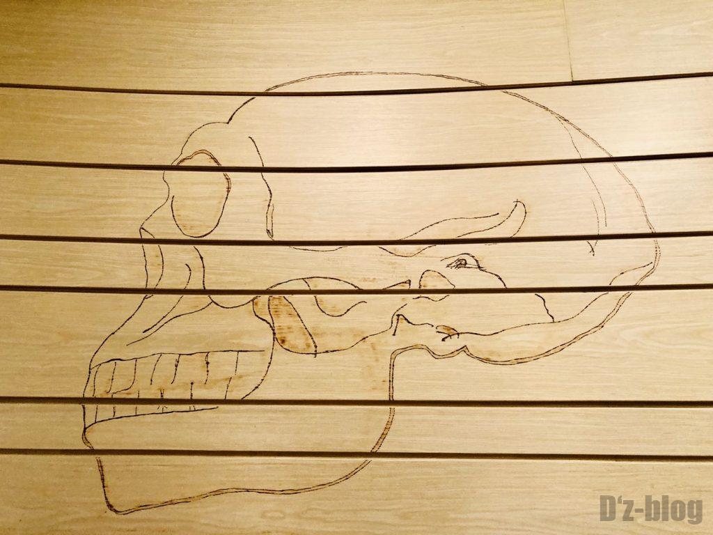 上海自然博物館人骨頭部壁絵