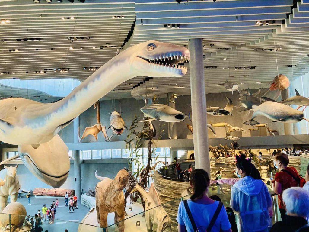 上海自然博物館巨大恐竜モデルアップ