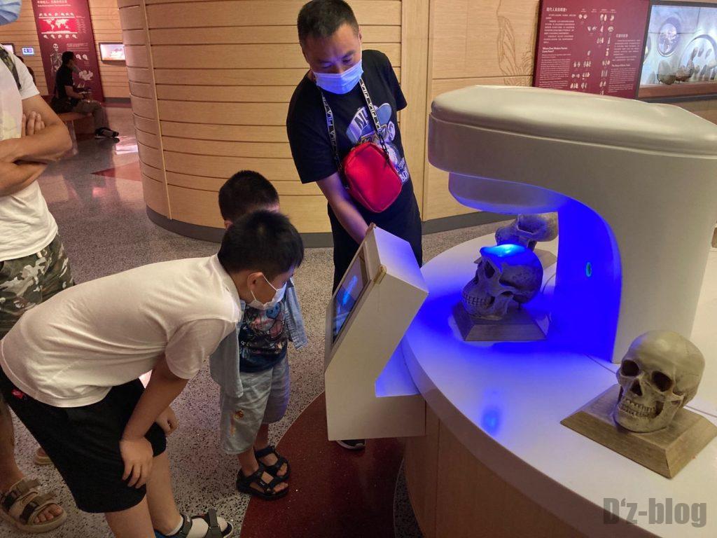上海自然博物館人骨頭部分析映像を見る親子