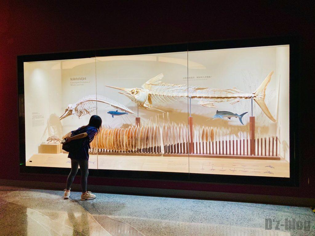 上海自然博物館魚類化石