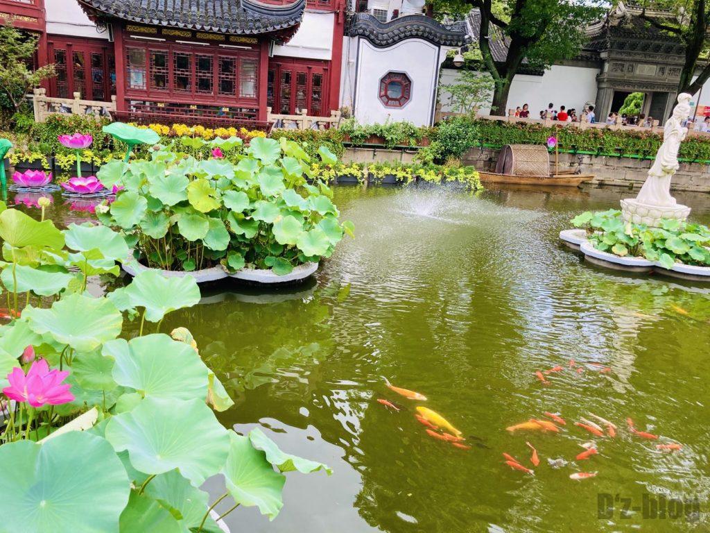 上海豫园ハスと鯉