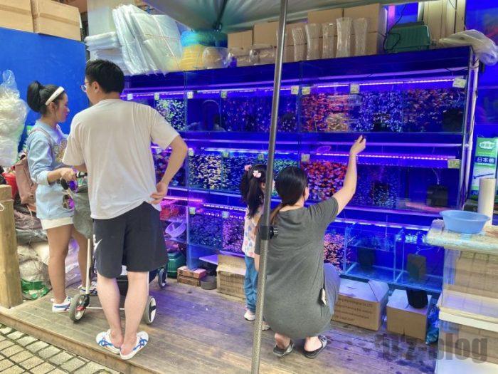 上海岚灵花鳥市場　水槽を見る親子